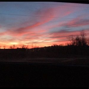 Meet your Posher, Carlie